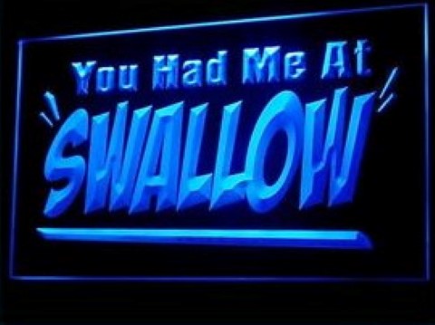 You had me at Swallow LED Neon Sign